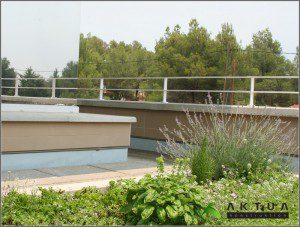cubierta-vegetal-valencia-2