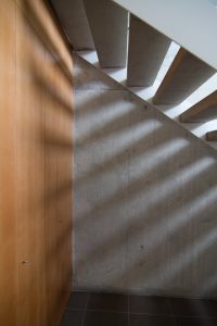 _MG_9455
